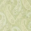 Cashmere Paisley 216320